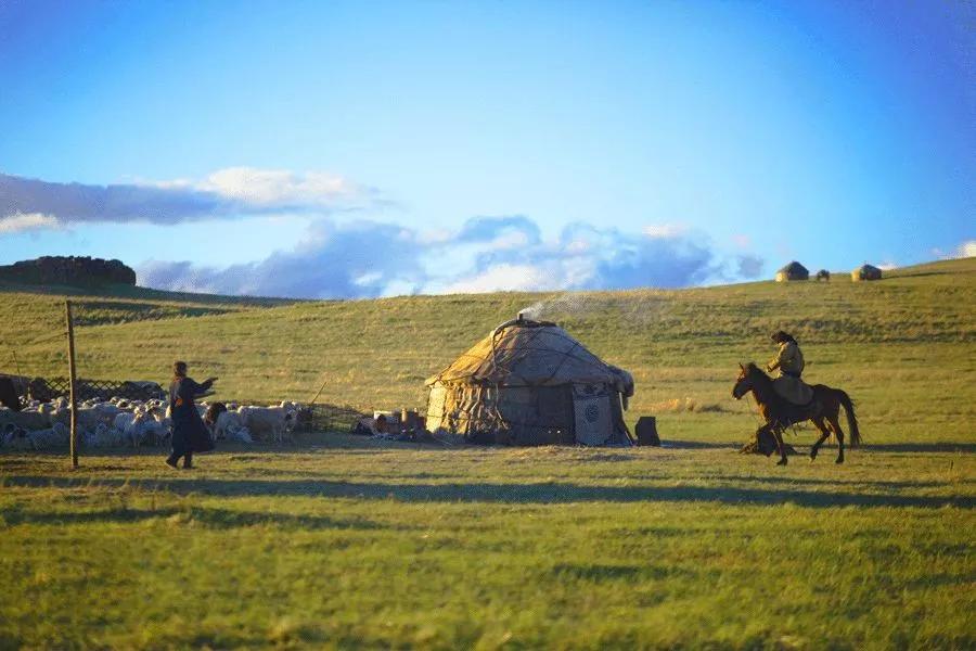 内蒙古，辽阔草原的绿色瑰宝