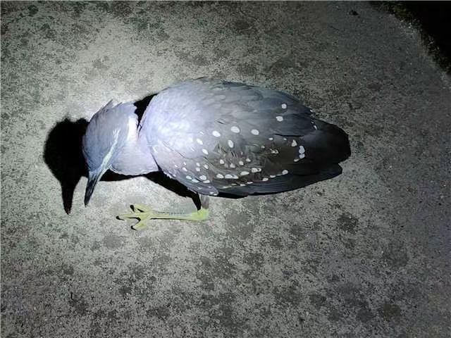 海南,自然浪漫之旅