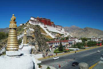 西藏画卷，揭秘神秘高原的神奇魅力