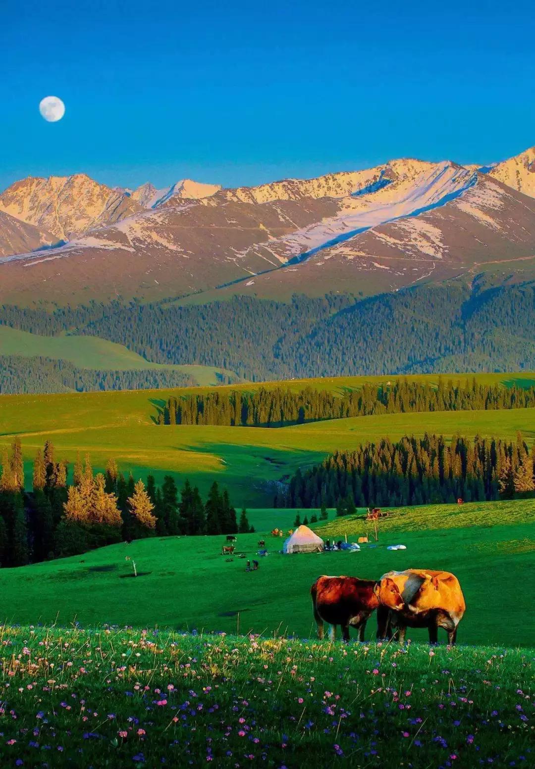 丝绸之路上的新疆,璀璨明珠之地